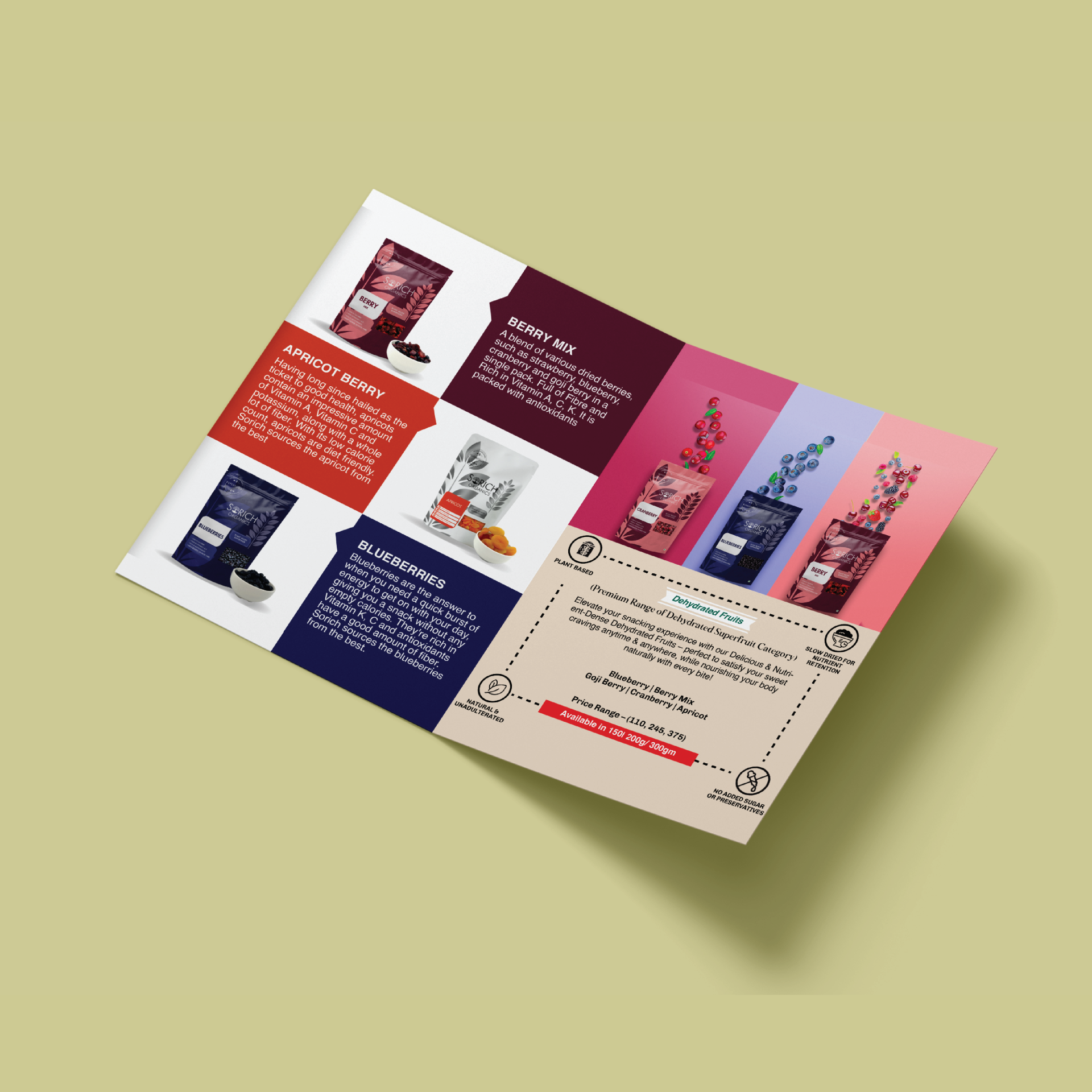 Serich Organics dried fruit brochure mockup featuring berry, apricot, and blueberry products with colorful editorial layouts.